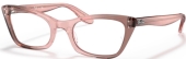 RAY-BAN RB 5499 LADY BURBANK Kunststoffbrille rosa braun